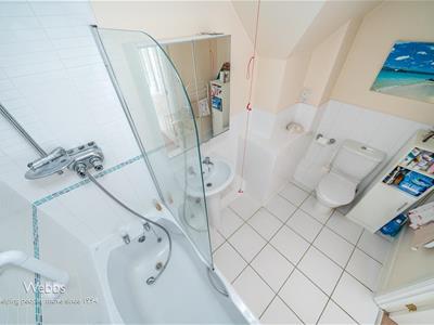 Picture 15